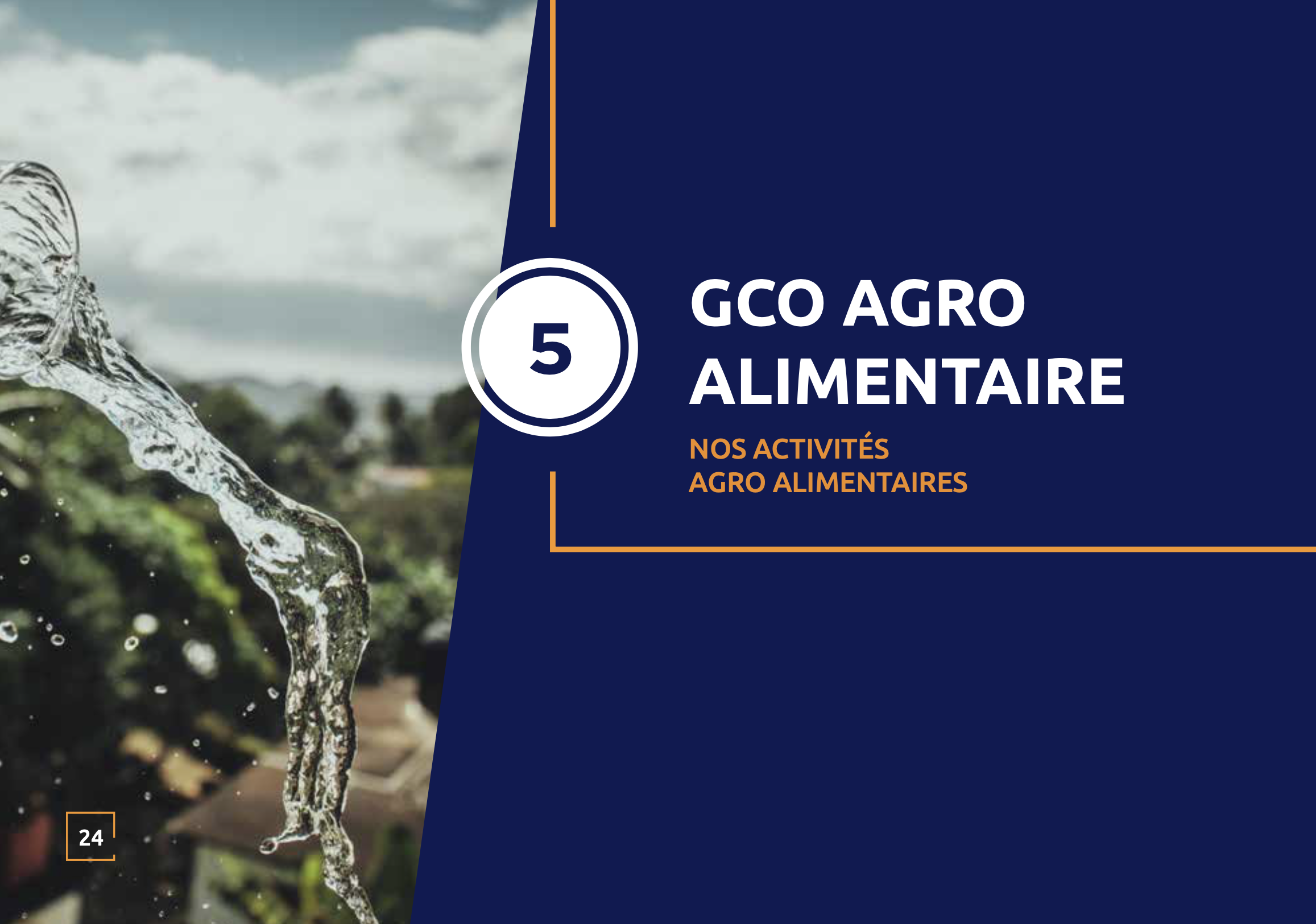 GCO AGRO ALIMENTAIRE